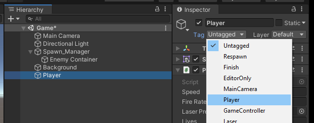 2D Player with Player Tag